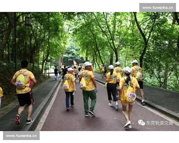上海地铁全面升级打造便捷绿色出行新格局引领城市交通未来发展